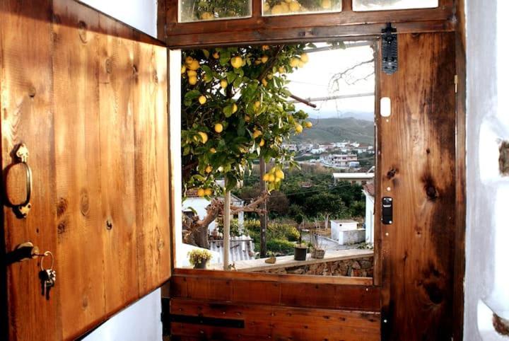 Afrodite'S House-Restaurated Oil Factory Agia  Luaran gambar